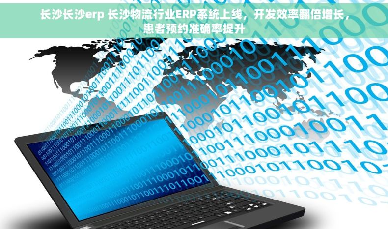 长沙长沙erp 长沙物流行业ERP系统上线，开发效率翻倍增长，患者预约准确率提升