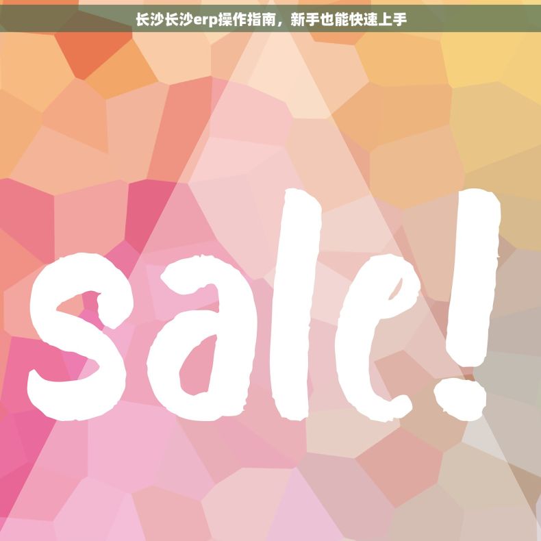 长沙长沙erp操作指南，新手也能快速上手