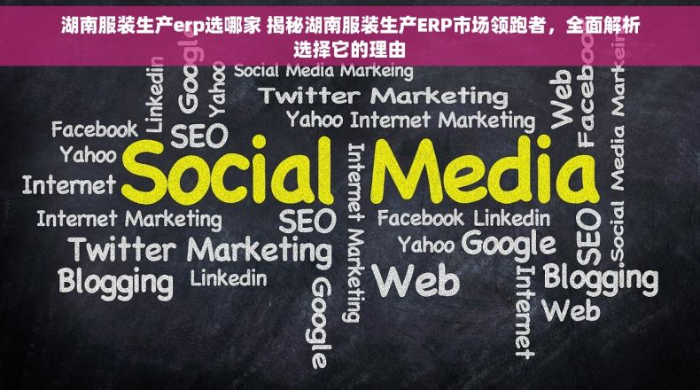 湖南服装生产erp选哪家 揭秘湖南服装生产ERP市场领跑者，全面解析选择它的理由