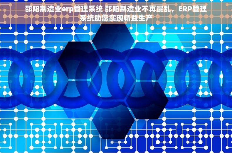 邵阳制造业erp管理系统 邵阳制造业不再混乱，ERP管理系统助您实现精益生产