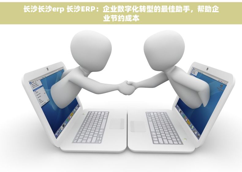 长沙长沙erp 长沙ERP：企业数字化转型的最佳助手，帮助企业节约成本