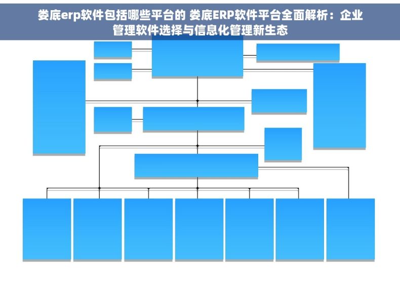 娄底erp软件包括哪些平台的 娄底ERP软件平台全面解析：企业管理软件选择与信息化管理新生态