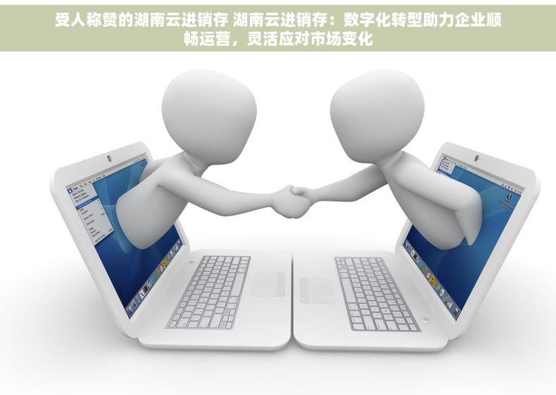 受人称赞的湖南云进销存 湖南云进销存：数字化转型助力企业顺畅运营，灵活应对市场变化