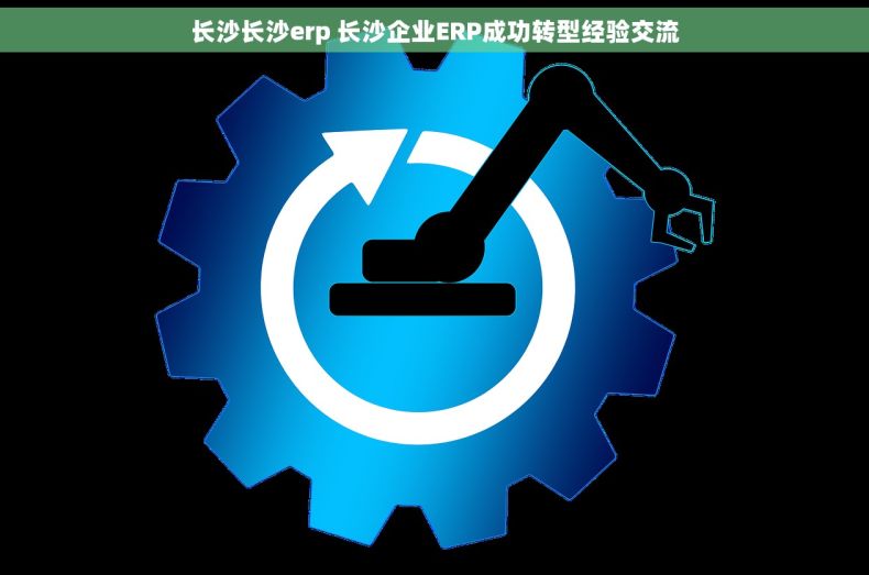 长沙长沙erp 长沙企业ERP成功转型经验交流