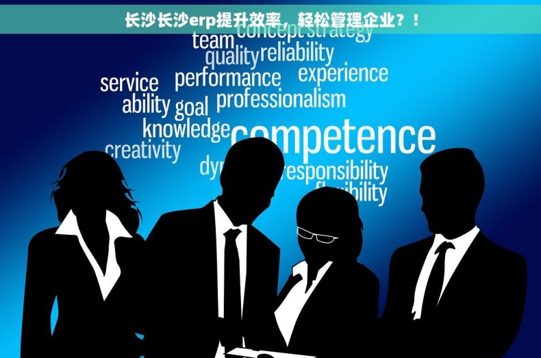 长沙长沙erp提升效率，轻松管理企业？！