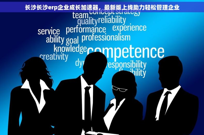 长沙长沙erp企业成长加速器，最新版上线助力轻松管理企业
