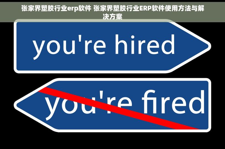 张家界塑胶行业erp软件 张家界塑胶行业ERP软件使用方法与解决方案
