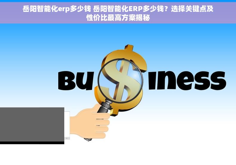 岳阳智能化erp多少钱 岳阳智能化ERP多少钱？选择关键点及性价比最高方案揭秘