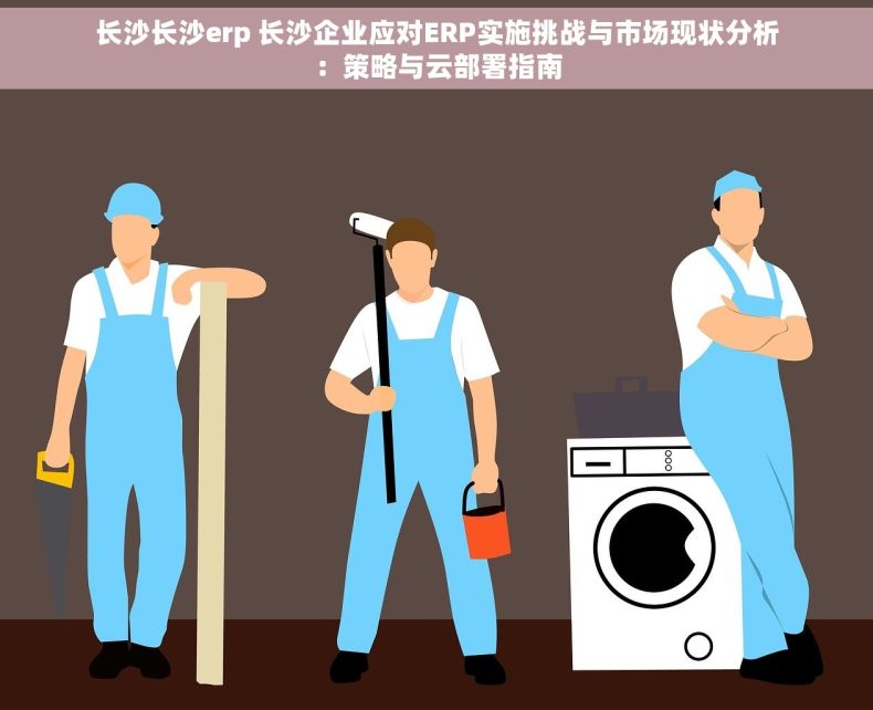 长沙长沙erp 长沙企业应对ERP实施挑战与市场现状分析：策略与云部署指南