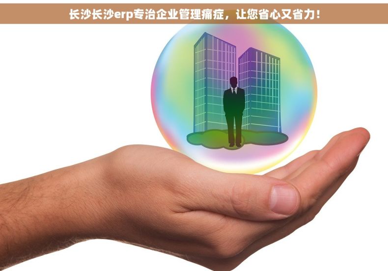 长沙长沙erp专治企业管理痛症，让您省心又省力！