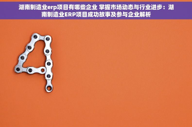 湖南制造业erp项目有哪些企业 掌握市场动态与行业进步：湖南制造业ERP项目成功故事及参与企业解析