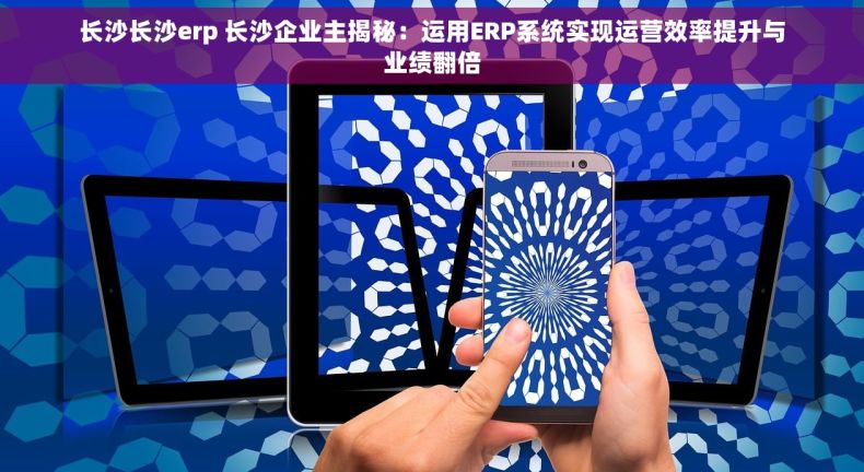 长沙长沙erp 长沙企业主揭秘：运用ERP系统实现运营效率提升与业绩翻倍