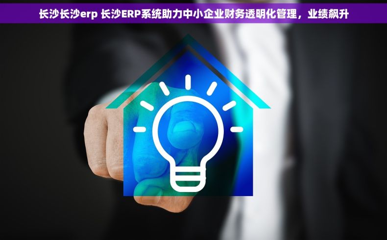 长沙长沙erp 长沙ERP系统助力中小企业财务透明化管理，业绩飙升