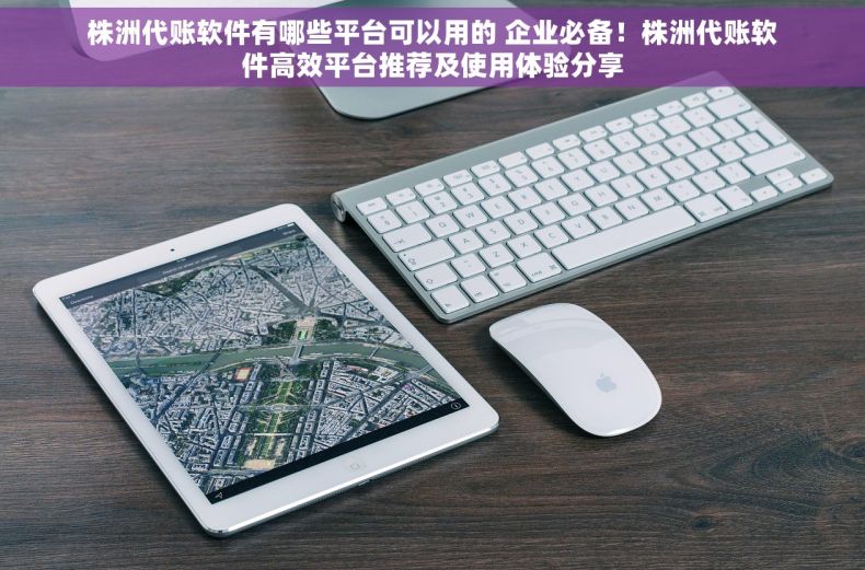 株洲代账软件有哪些平台可以用的 企业必备！株洲代账软件高效平台推荐及使用体验分享