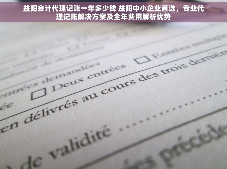 益阳会计代理记账一年多少钱 益阳中小企业首选，专业代理记账解决方案及全年费用解析优势