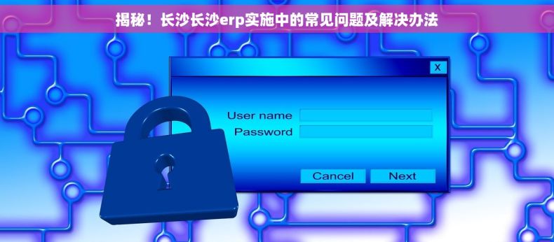 揭秘！长沙长沙erp实施中的常见问题及解决办法