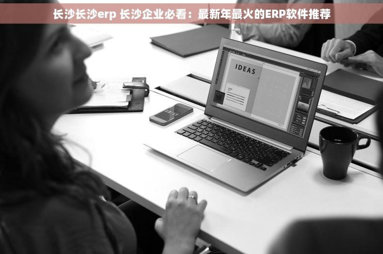 长沙长沙erp 长沙企业必看：最新年最火的ERP软件推荐