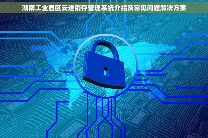 湖南工业园区云进销存管理系统介绍及常见问题解决方案