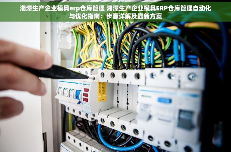湘潭生产企业模具erp仓库管理 湘潭生产企业模具ERP仓库管理自动化与优化指南：步骤详解及最新方案