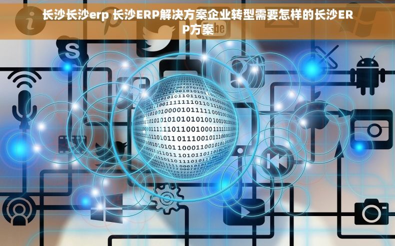 长沙长沙erp 长沙ERP解决方案企业转型需要怎样的长沙ERP方案
