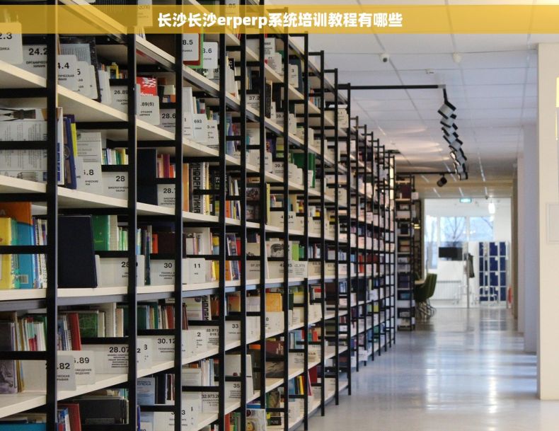 长沙长沙erperp系统培训教程有哪些