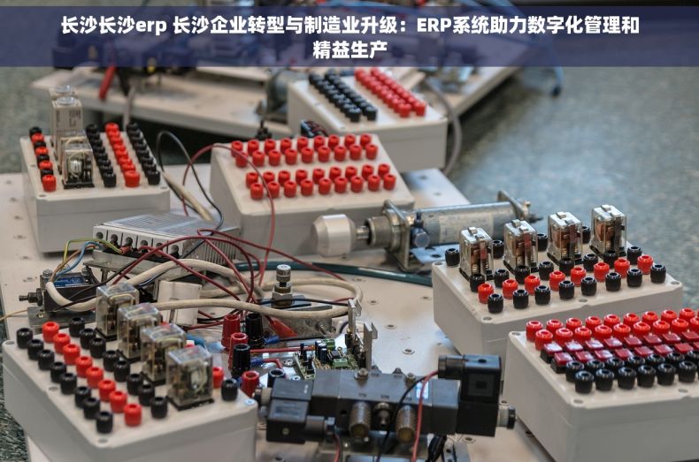 长沙长沙erp 长沙企业转型与制造业升级：ERP系统助力数字化管理和精益生产