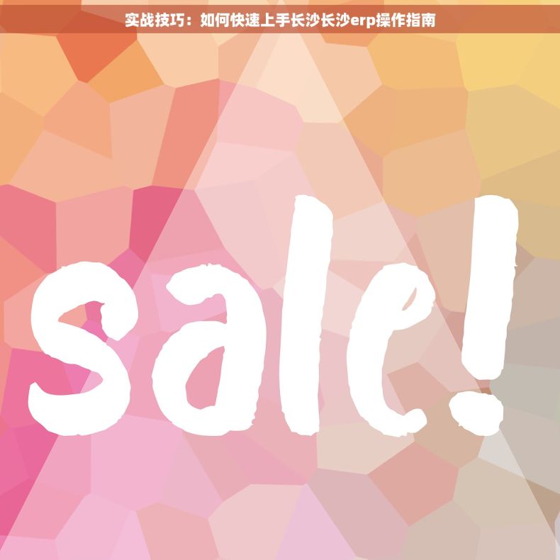 实战技巧：如何快速上手长沙长沙erp操作指南