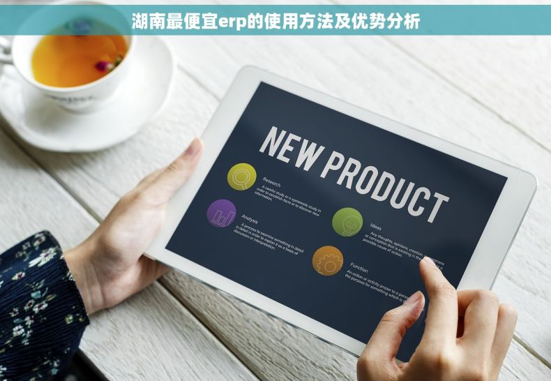 湖南最便宜erp的使用方法及优势分析