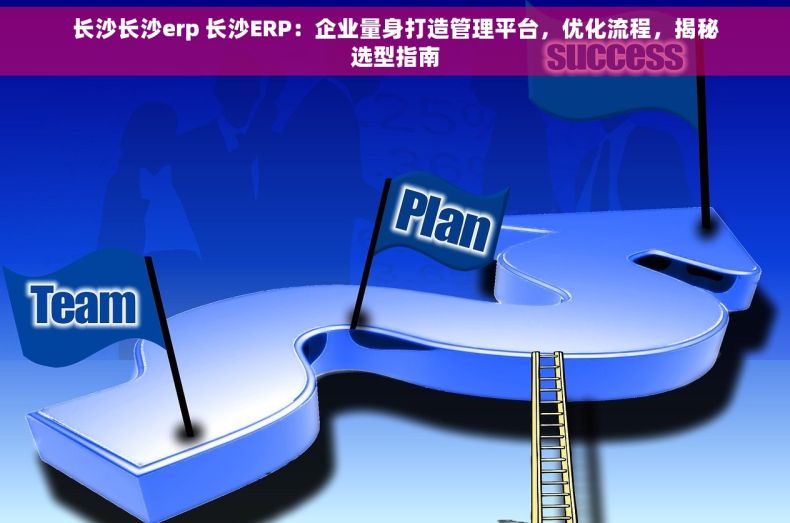 长沙长沙erp 长沙ERP：企业量身打造管理平台，优化流程，揭秘选型指南