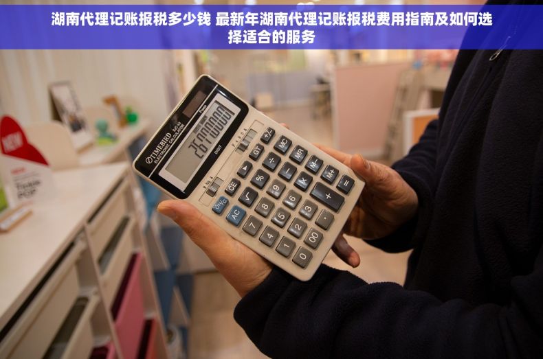 湖南代理记账报税多少钱 最新年湖南代理记账报税费用指南及如何选择适合的服务