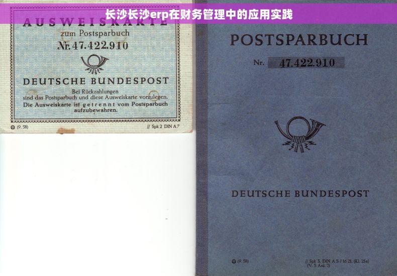长沙长沙erp在财务管理中的应用实践