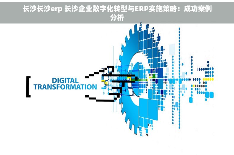 长沙长沙erp 长沙企业数字化转型与ERP实施策略：成功案例分析