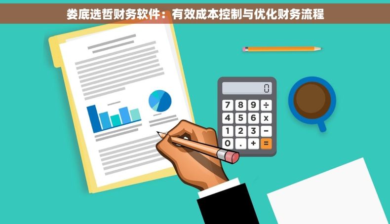 娄底选哲财务软件：有效成本控制与优化财务流程
