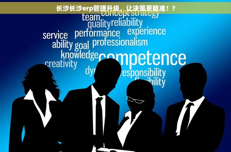 长沙长沙erp管理升级，让决策更精准！?