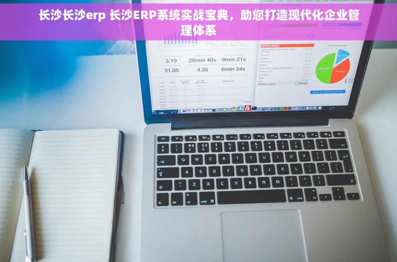 长沙长沙erp 长沙ERP系统实战宝典，助您打造现代化企业管理体系