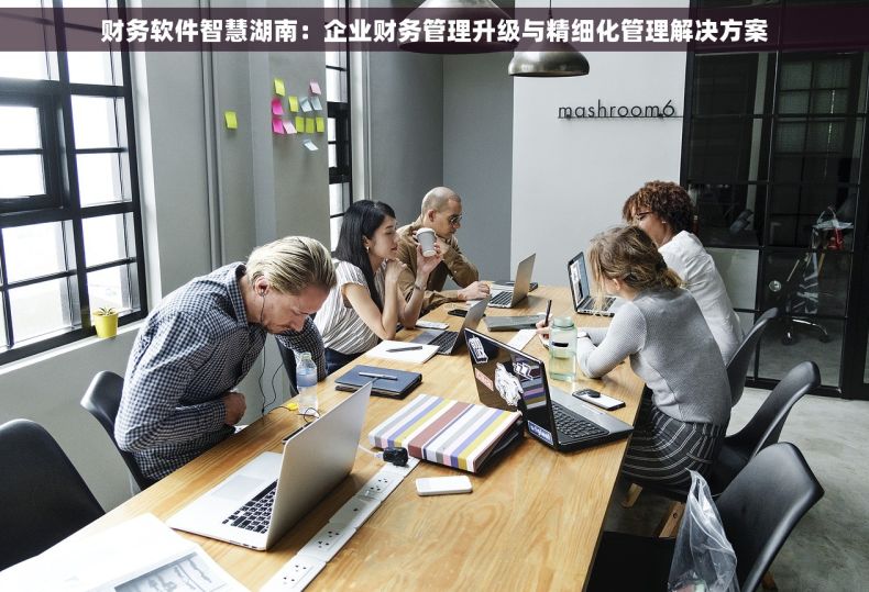 财务软件智慧湖南：企业财务管理升级与精细化管理解决方案