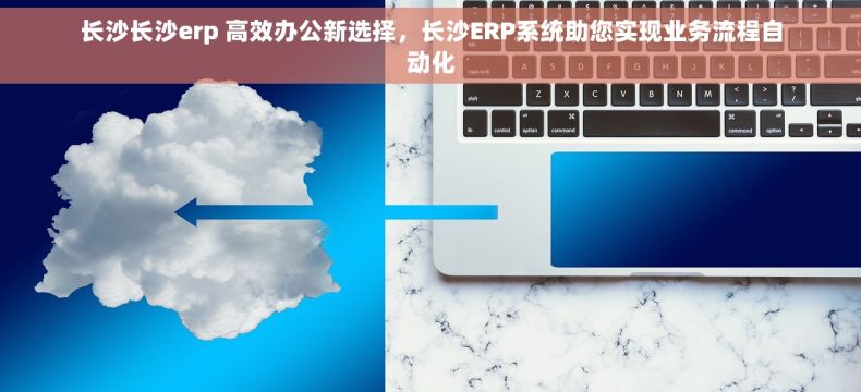 长沙长沙erp 高效办公新选择，长沙ERP系统助您实现业务流程自动化