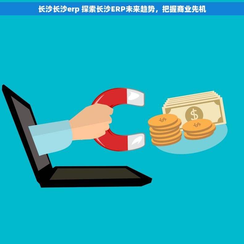 长沙长沙erp 探索长沙ERP未来趋势，把握商业先机