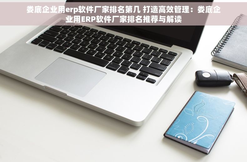 娄底企业用erp软件厂家排名第几 打造高效管理：娄底企业用ERP软件厂家排名推荐与解读