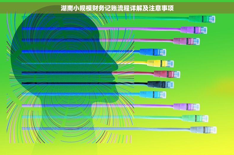 湖南小规模财务记账流程详解及注意事项