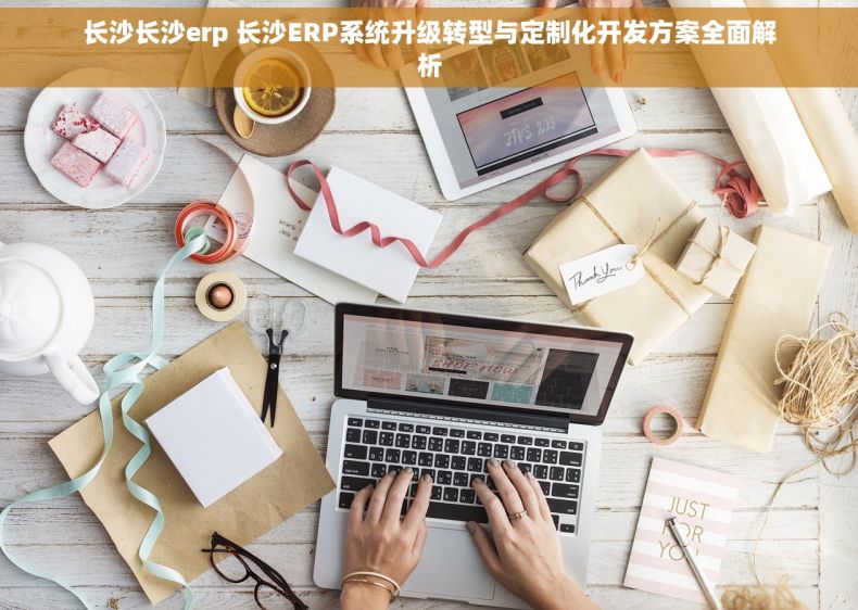长沙长沙erp 长沙ERP系统升级转型与定制化开发方案全面解析