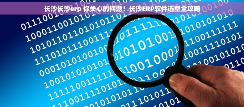 长沙长沙erp 你关心的问题！长沙ERP软件选型全攻略