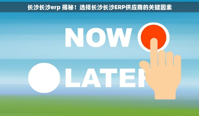 长沙长沙erp 揭秘！选择长沙长沙ERP供应商的关键因素