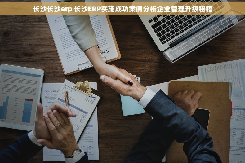 长沙长沙erp 长沙ERP实施成功案例分析企业管理升级秘籍