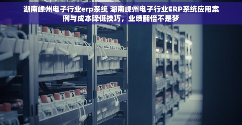 湖南嵊州电子行业erp系统 湖南嵊州电子行业ERP系统应用案例与成本降低技巧，业绩翻倍不是梦