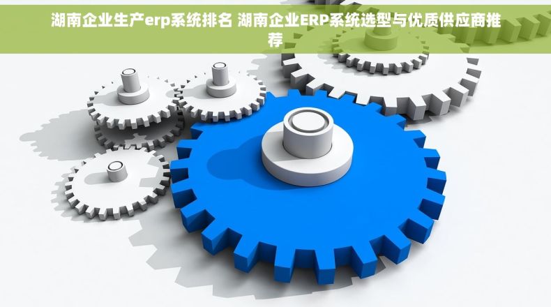 湖南企业生产erp系统排名 湖南企业ERP系统选型与优质供应商推荐