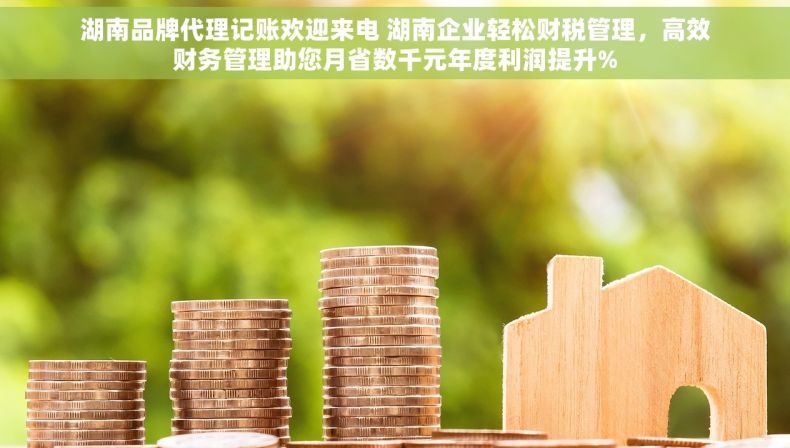 湖南品牌代理记账欢迎来电 湖南企业轻松财税管理，高效财务管理助您月省数千元年度利润提升%