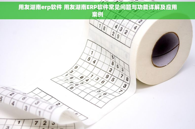用友湖南erp软件 用友湖南ERP软件常见问题与功能详解及应用案例