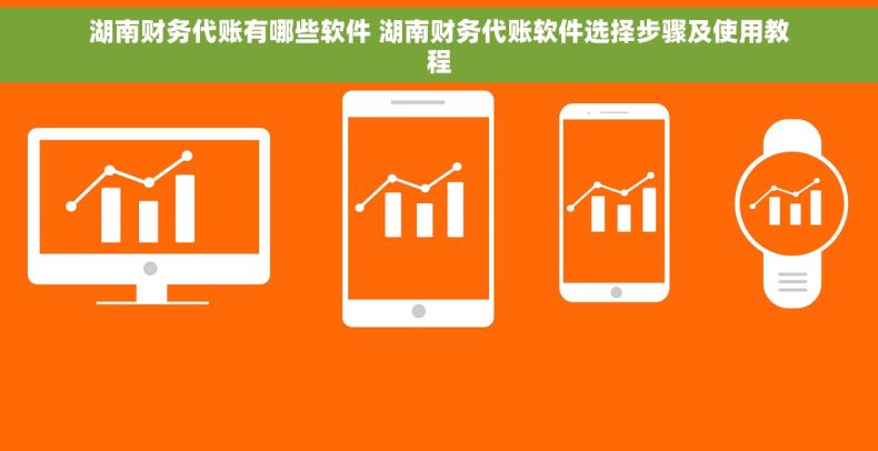 湖南财务代账有哪些软件 湖南财务代账软件选择步骤及使用教程
