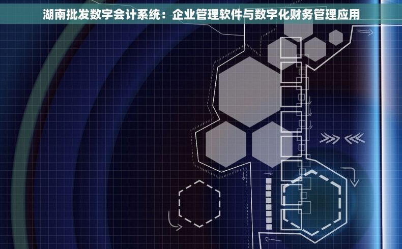 湖南批发数字会计系统：企业管理软件与数字化财务管理应用